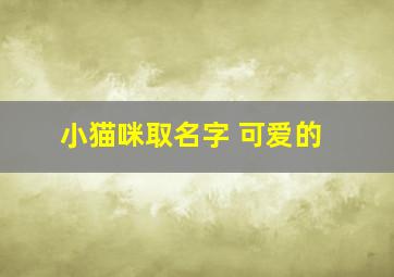 小猫咪取名字 可爱的